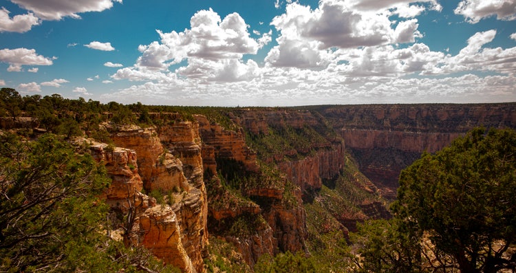 Grand Canyon National Park, North Rim. Rock canyon, rocky mountains. Red rock canyon panoramic landscape. Canyon National Park. View of a desert mountain. Famous american hiking place